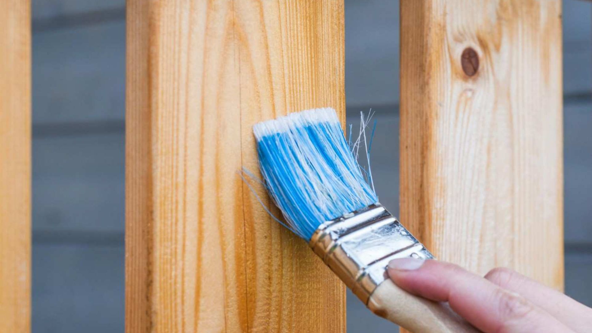 Discover DUCO Paint's : Features, Usage, Benefits and 3 Alternatives