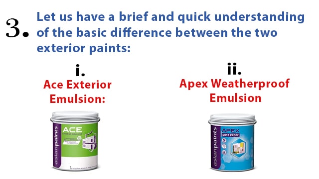 Difference between Asian Paint's Ace Paint and Asian Paint's Apex Paint